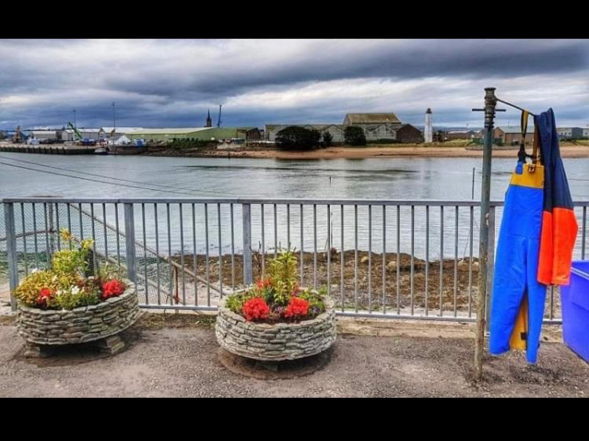 The Thin Seagull 4 Beacon Terrace Ferryden Villa Exterior foto